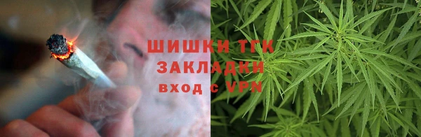 гидра Алзамай