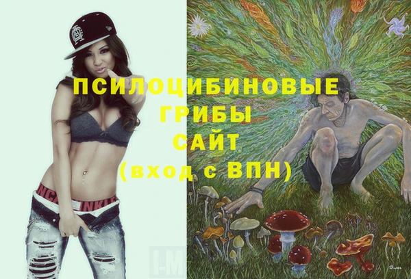 гидра Алзамай