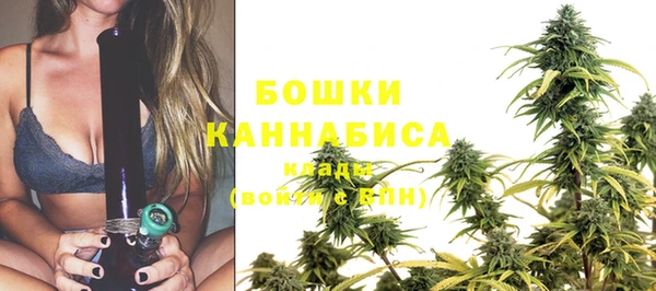 стафф Осташков