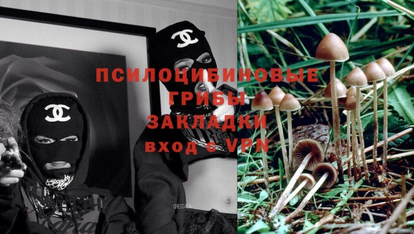 MDMA Осинники