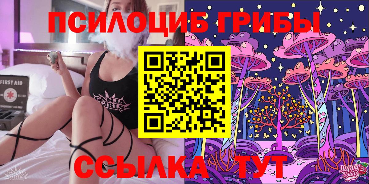 Псилоцибиновые грибы MAGIC MUSHROOMS  купить   Псилоцибиновые грибы GOLDEN TEACHER  Сосновоборск  Вход с VPN 