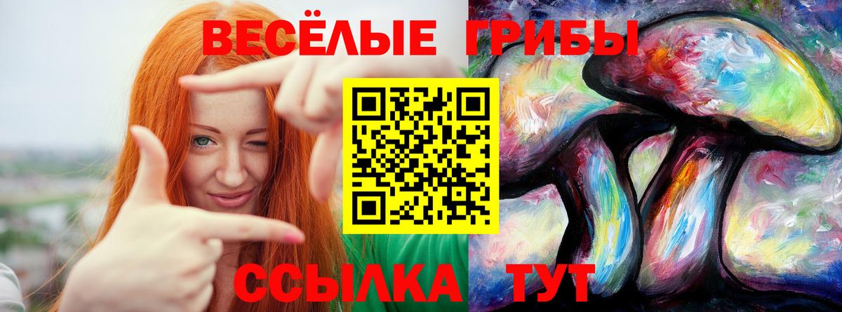 Псилоцибиновые грибы прущие грибы Сосновоборск